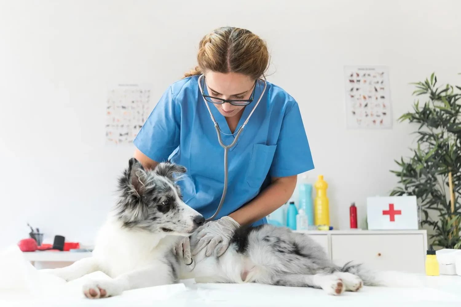 Veterinarian caring for a dog, representing AI for pet services