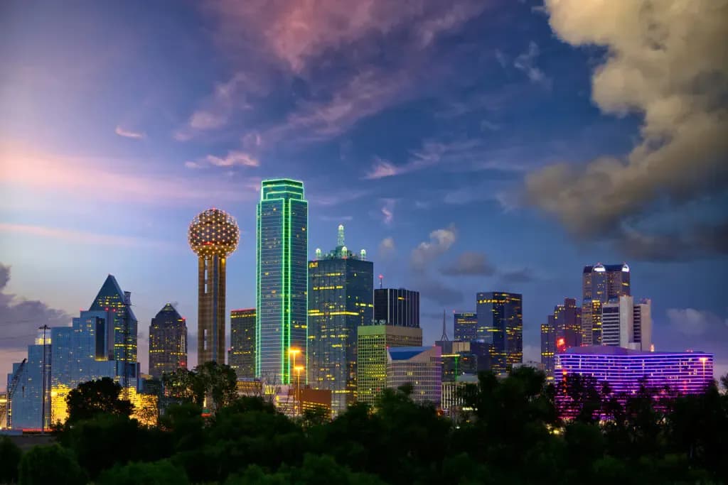 City skyline at dusk behind the pet services customer testimonial